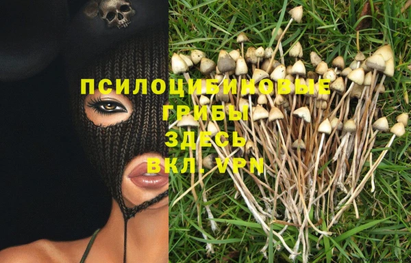 спиды Верхний Тагил