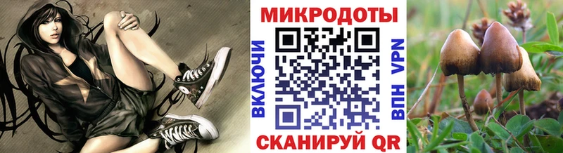 Купить  Макарьев  Галлюциногенные грибы Psilocybe 